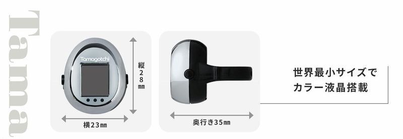 世界最小のカラー液晶