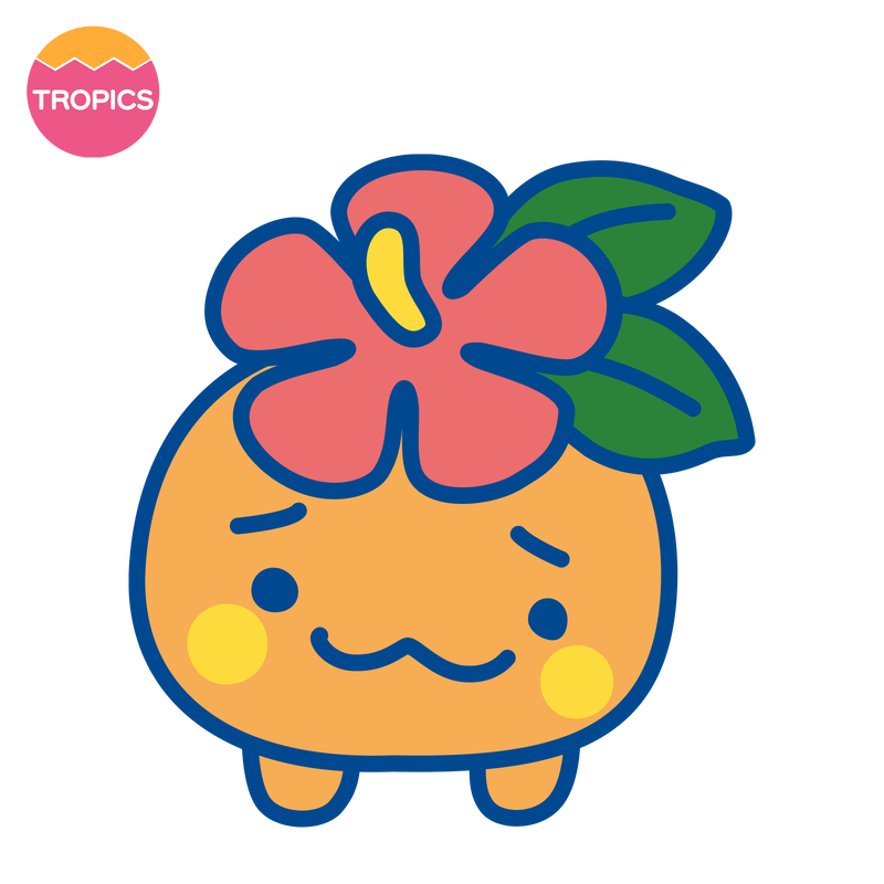 なんごくぽつねんっち