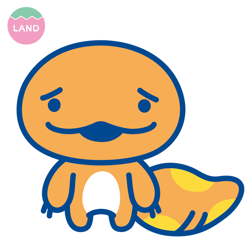 れおぱっち