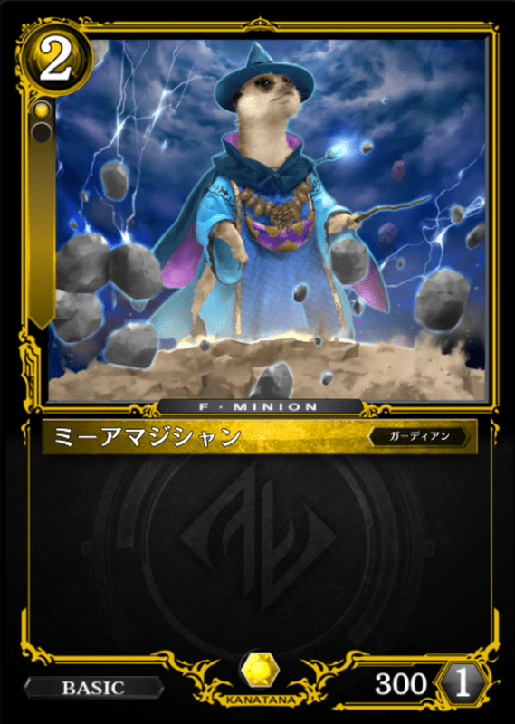 ミーアマジシャン