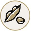 豆