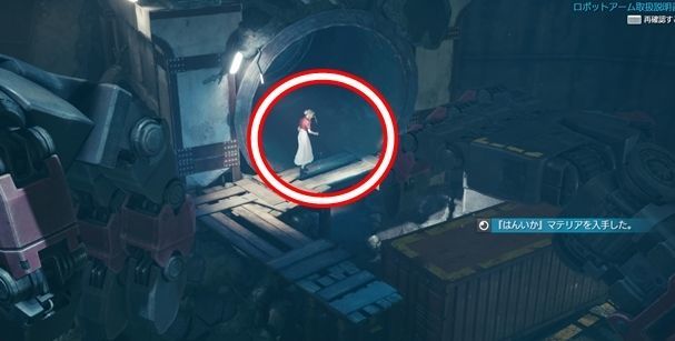 はんいか入手場所