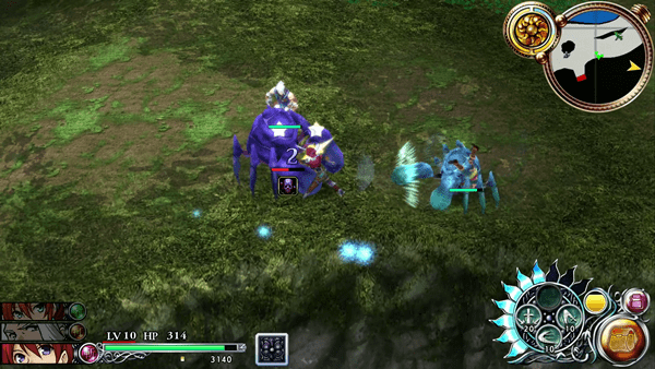 イースセルセタの樹海：改弱点