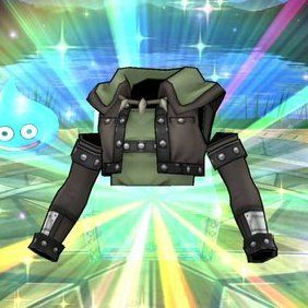 ワイルドジャケットの画像