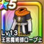 王宮魔術師ローブ上