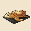 薬王寺ウミガメ