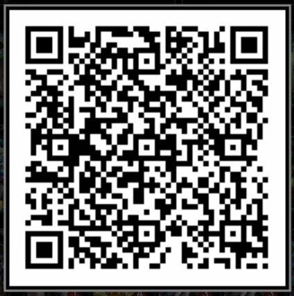 緑単フェリシア型気功掌QR
