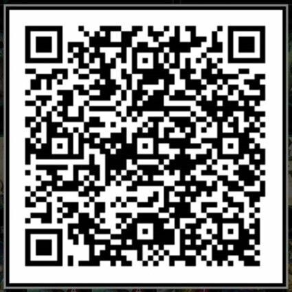 緑単解放軸カモニコQR