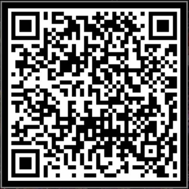 黒単ザンギエフ型証拠軸誘い(TF環境後半)