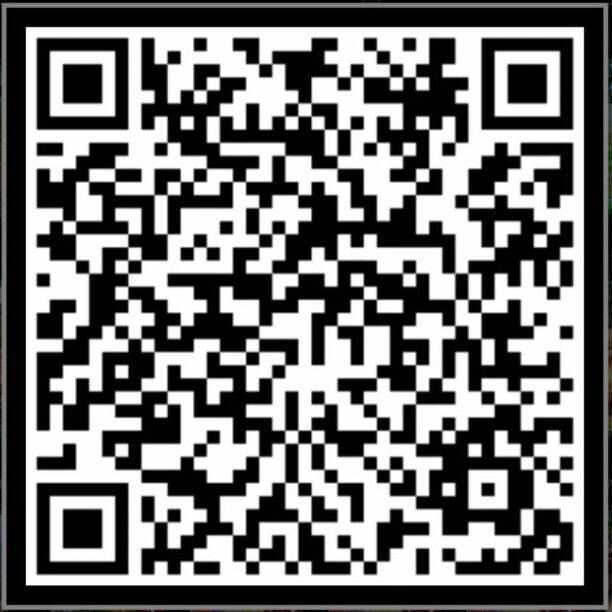 緑単低コスト軸気功掌