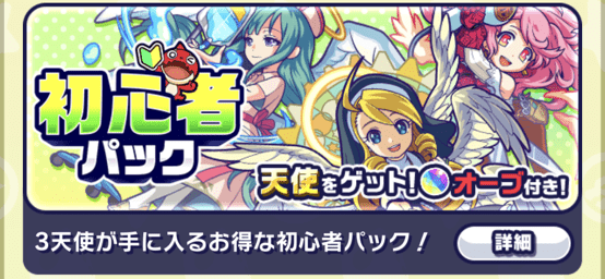 初心者パックを購入