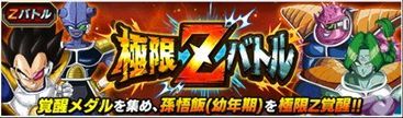 極限Zバトル