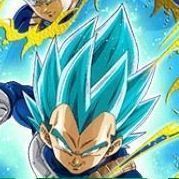 純粋サイヤ人カテゴリ