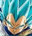 【誇りの遵守】超サイヤ人ゴッドSSベジータ