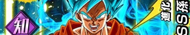 【進化の果て】超サイヤ人ゴッドSS孫悟空