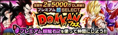 プレミアム龍石