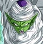 ナメック星人カテゴリ