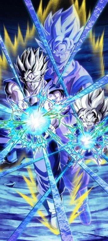 LR親子三大かめはめ波