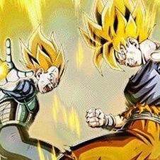 LR悟空&ベジータ