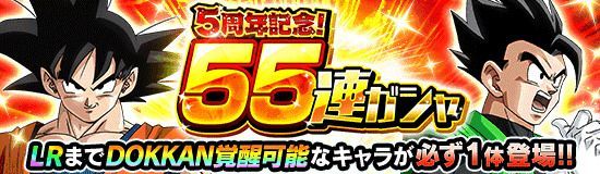 66 チケット ガチャ ドッカン 連