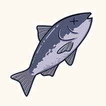 ダスト産のお魚