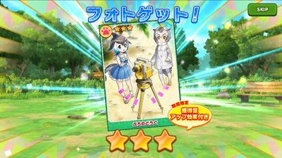 しょうたいがちゃのふぉと