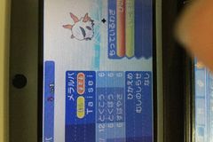 ポケモンサンムーン 交換希望掲示板 コメント一覧 397ページ目 ポケモンsm攻略wiki Gamerch