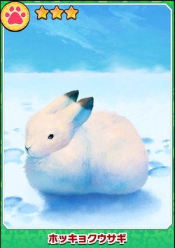 けもフレ3 ホッキョクウサギフォトの専用フォト けものフレンズ3 けものフレンズ3攻略まとめ Gamerch