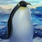 コウテイペンギンフォト