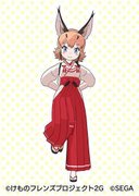 カラカル巫女服