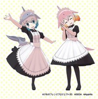 シナウスイロイルカバンドウイルカ