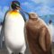 キングペンギンフォト