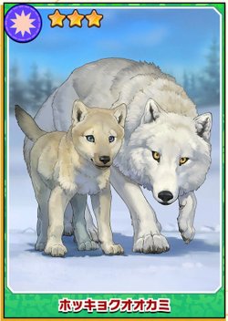 けもフレ3 ホッキョクオオカミのワイルドフォト けものフレンズ3 けものフレンズ3攻略まとめ Gamerch