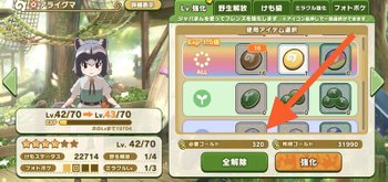 フレンズを強化する