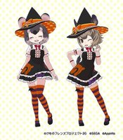 デグー、チンチラ