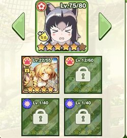 フォトの効果をより多く受けられる