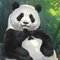 ジャイアントパンダフォト