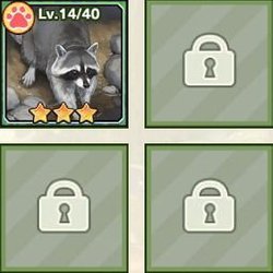 フォトを装着させる枠