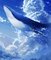 鯨が飛ぶ夏の空