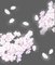 舞い散る桜