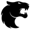 FURIA Esports