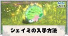 シェイミの入手方法