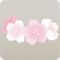 小小的櫻花花冠