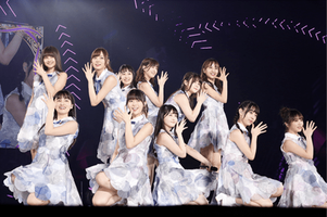 バスラコレクション（TypeC）