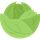 キャベツ