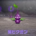 紫ピクミン