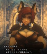 影の冒険者見た目