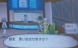 ポケモンsm 技教えや技忘れやめざパ判定など知ってると便利な人まとめ ポケモンsm攻略wiki Gamerch