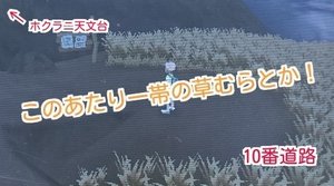 サンムーン カラフルな色のメテノを入手する方法 ポケモンsm攻略wiki Gamerch