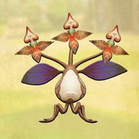 ウスバカゲソウ